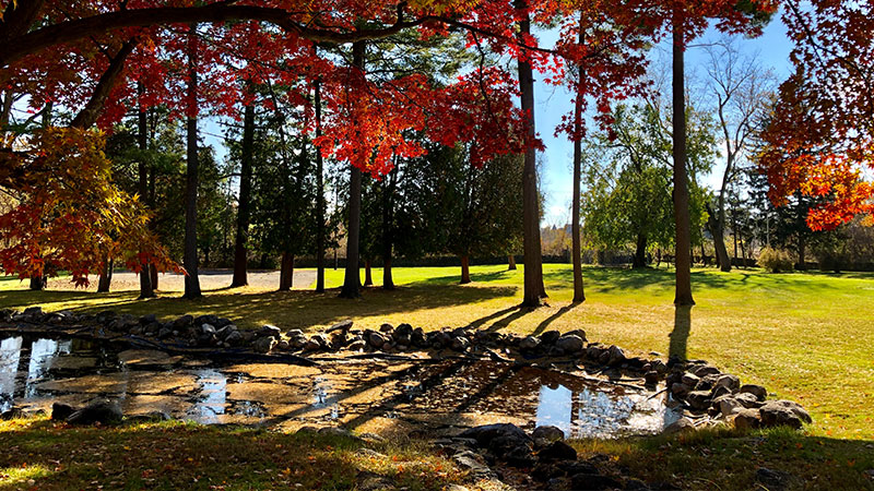 Image of a park with trees and a small pond